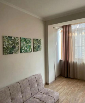 apartment in the center